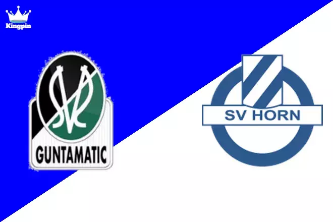Ried vs SV Horn: 2. Liga Spread Picks August 9, 2024