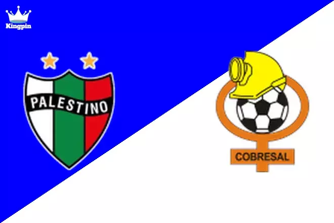 Palestino vs Cobresal: Primera División Goals Over/Under Prediction 8/25