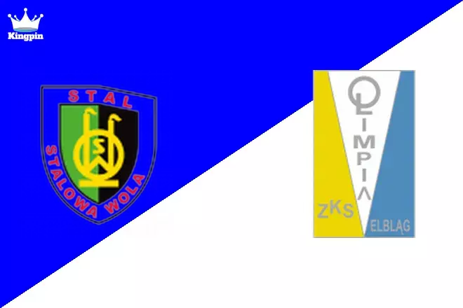 Stal Stalowa Wola vs Olimpia Elbląg: Cup Totals Picks August 7, 2024