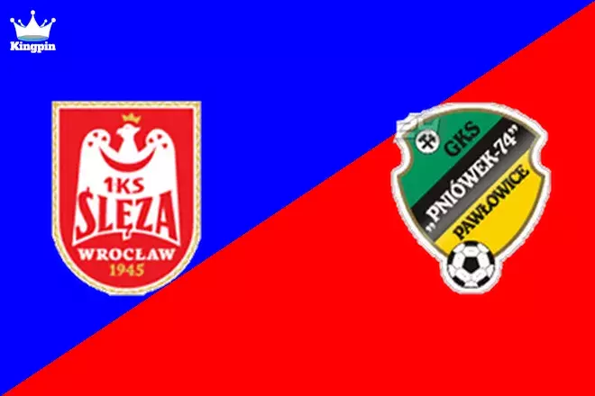 Ślęza Wrocław vs Pawłowice Śląskie: III Liga Spread Picks August 3, 2024