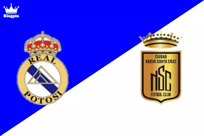 Real Potosí vs Ciudad Nueva Santa Cruz: Nacional B Goals Over/Under Prediction 8/25