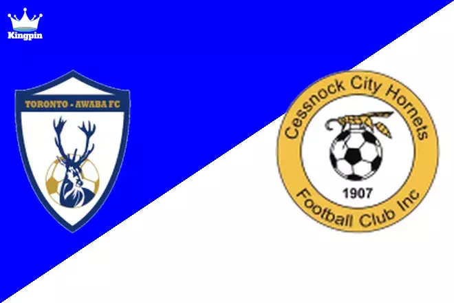 Toronto Awaba Stags vs Cessnock City Hornets: NNSW League 1 Totals Picks August 10, 2024