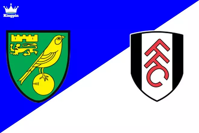 Norwich City U18 vs Fulham U18: U18 Premier League Totals Prediction 8/31