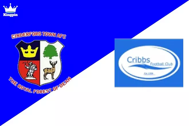 Cinderford Town vs Cribbs: Non League Div One Betting Tips August 10, 2024