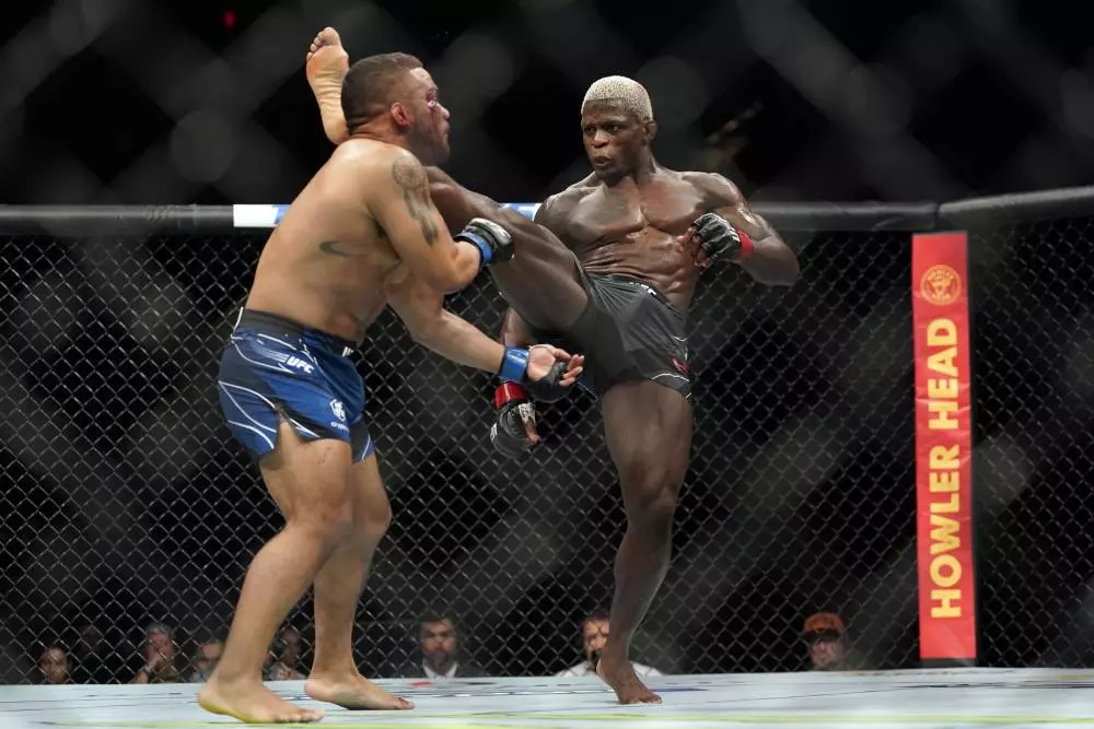 Phil Hawes vs Brunno Ferreira Prediction UFC Picks 1/13