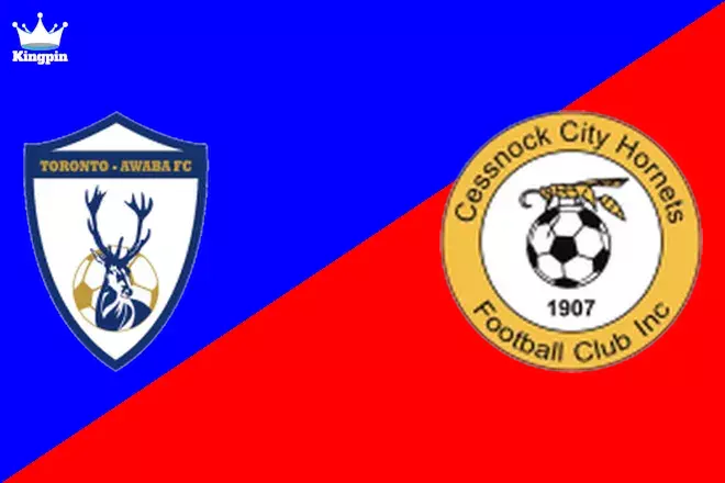 Toronto Awaba Stags vs Cessnock City Hornets: NNSW League 1 Totals Picks August 3, 2024