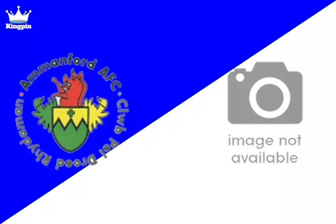 Ammanford AFC vs Trethomas Bluebirds: FAW Championship Moneyline Picks August 10, 2024