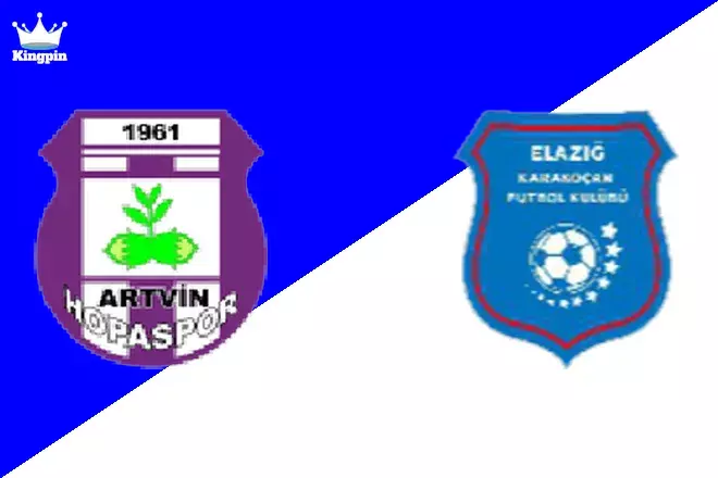Artvin Hopaspor vs Elazığ Belediyespor FK: 3. Lig Totals Prediction 9/7