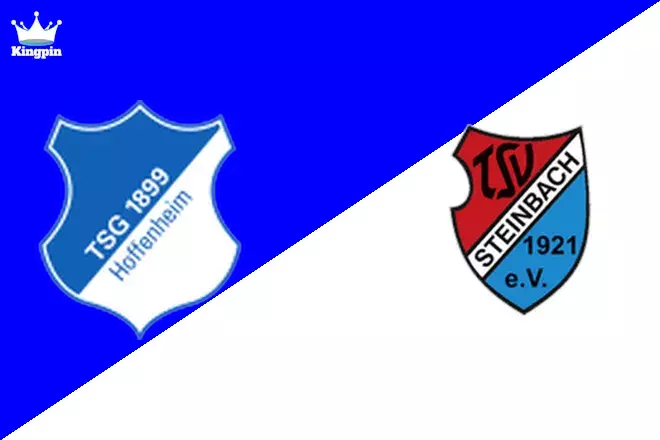 Hoffenheim II vs TSV Steinbach: Regionalliga - SudWest Totals Prediction 8/11