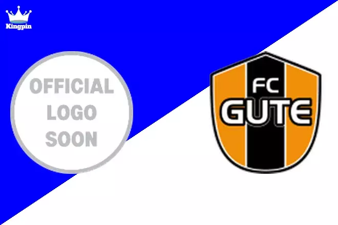 Viggbyholms IK vs Gute: Division 2 - Norra Svealand Totals Prediction 8/17