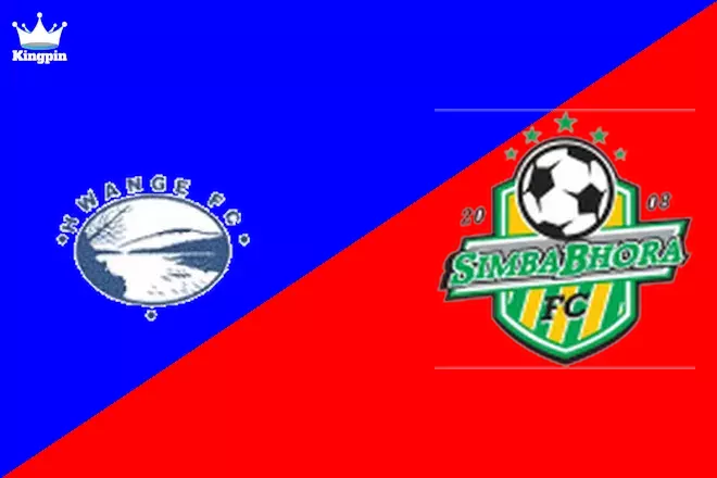 Soccer Betting Tips: Hwange vs Simba Bhora - 7/28