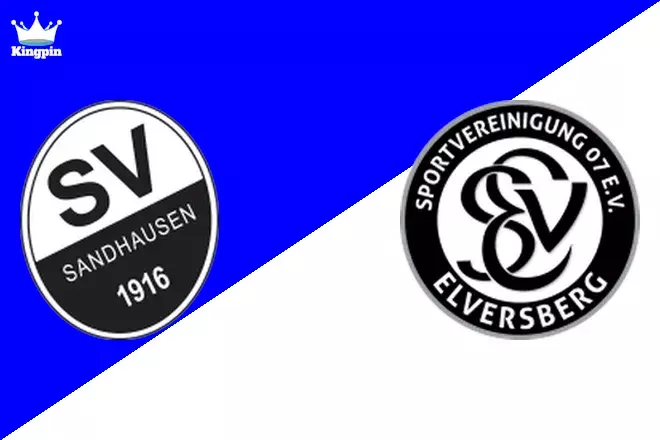 Sandhausen U19 vs Elversberg U19: U19 Bundesliga Moneyline Picks August 10, 2024