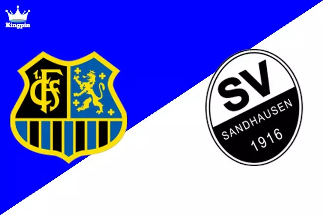 FC Saarbrücken vs SV Sandhausen: 3. Liga Moneyline Prediction 8/11