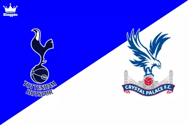 Tottenham Hotspur U18 vs Crystal Palace U18: U18 Premier League - South Totals Prediction 8/17