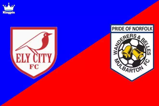 Ely City vs Mulbarton Wanderers: FA Cup Totals Picks August 3, 2024