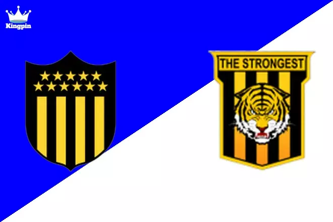 Penarol vs The Strongest: CONMEBOL Libertadores Totals Picks August 14, 2024