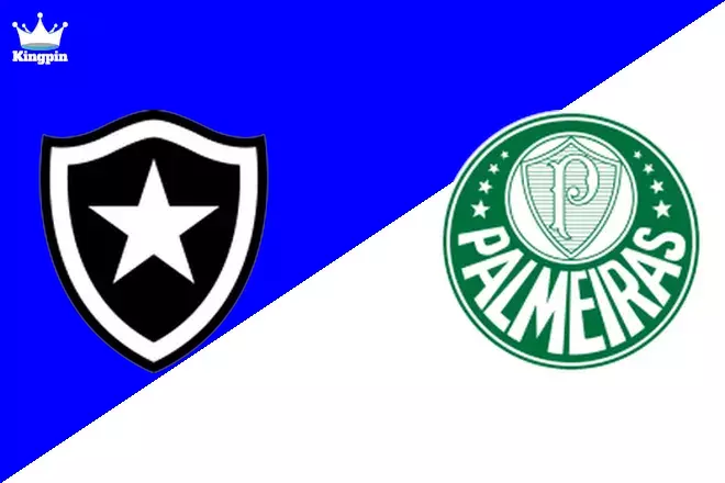 Botafogo vs Palmeiras: CONMEBOL Libertadores Spread Prediction 8/15