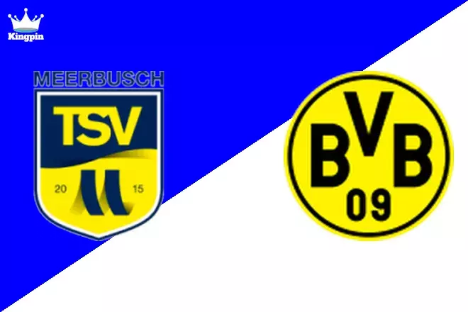 Meerbusch U19 vs Borussia Dortmund U19: U19 Bundesliga Totals Prediction 8/18