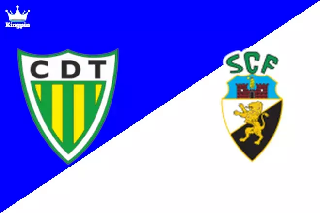 Tondela U19 vs SC Farense U19: Totals Prediction 8/24