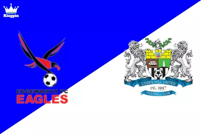 Edgeworth Eagles vs Cooks Hill United: Northern NSW NPL Totals Picks August 10, 2024