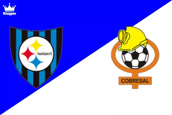 Huachipato vs Cobresal: Primera División Totals Picks August 9, 2024