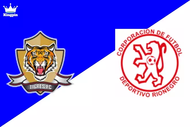 Tigres FC vs Leones FC: Primera B Goals Over/Under Picks August 10, 2024