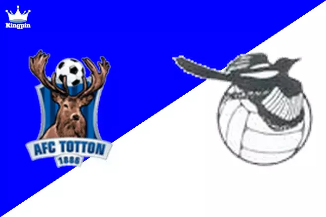 AFC Totton vs Wimborne Town: Non League Premier - Southern South Moneyline Prediction 9/10
