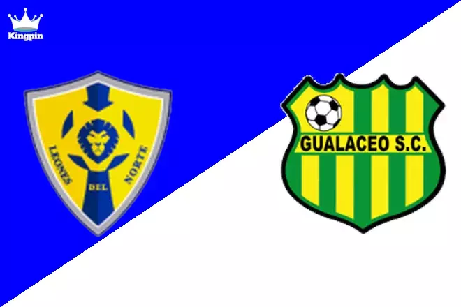 Leones del Norte vs Gualaceo SC: Liga Pro Serie B Totals Picks August 14, 2024