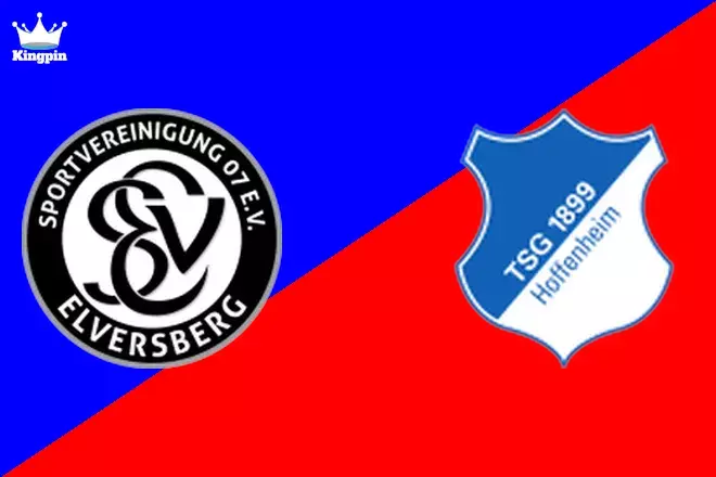 Elversberg U19 vs Hoffenheim U19: U19 Bundesliga Totals Picks August 3, 2024