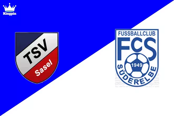 Sasel vs Süderelbe: Oberliga - Hamburg Goals Over/Under Prediction 8/11