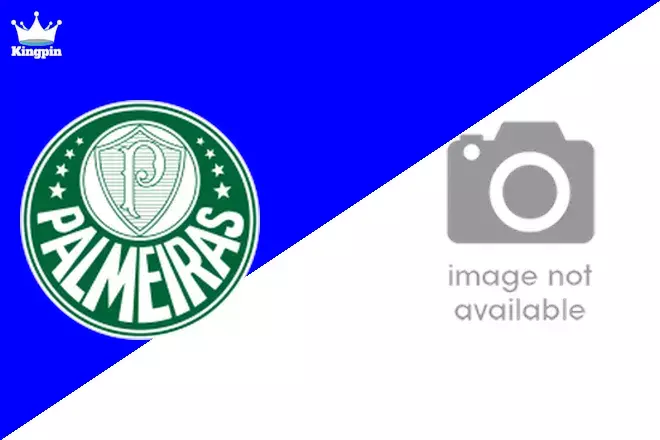 Palmeiras U17 vs Internacional U17: Brasileiro U17 Spread Prediction 8/28