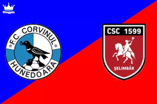Corvinul Hunedoara vs Viitorul Şelimbăr: Liga II Totals Picks August 3, 2024