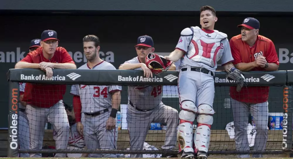 Nationals vs Brewers Pick, Prediction, Odds and Preview, August 21: MLB