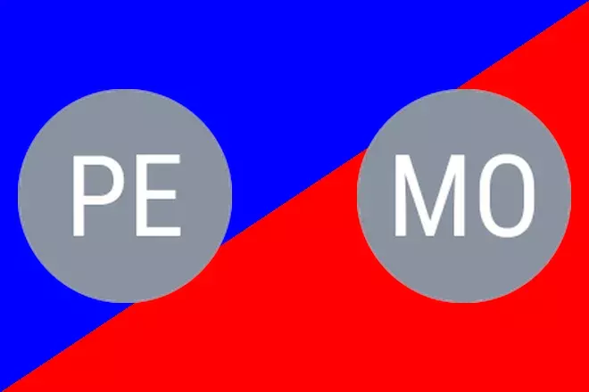 Petretic L. vs Molchanova O.: Duffel Prediction 8/11