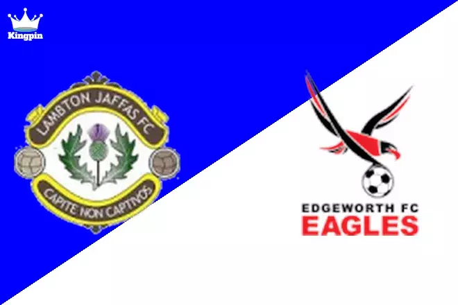 Lambton Jaffas vs Edgeworth Eagles: NNSW NPL Goals Over/Under Prediction 8/24
