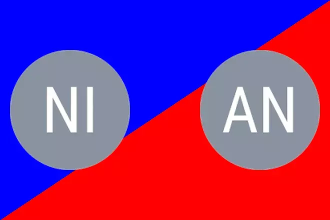 Nicolas J. vs Anghel A.: Brasov Prediction 8/25