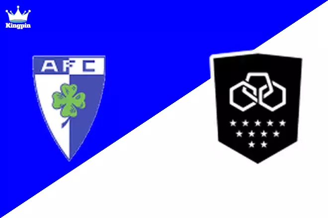 Anadia vs Vilaverdense: Liga 3 Goals Over/Under Prediction 9/1