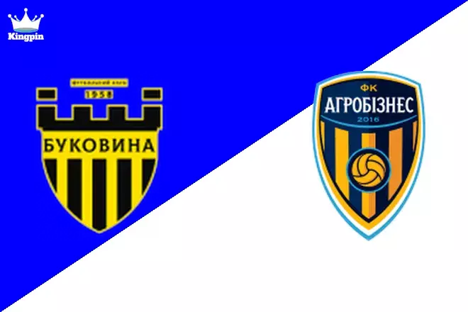 Bukovyna vs Ahrobiznes Volochysk: Persha Liga Goals Over/Under Prediction 8/17