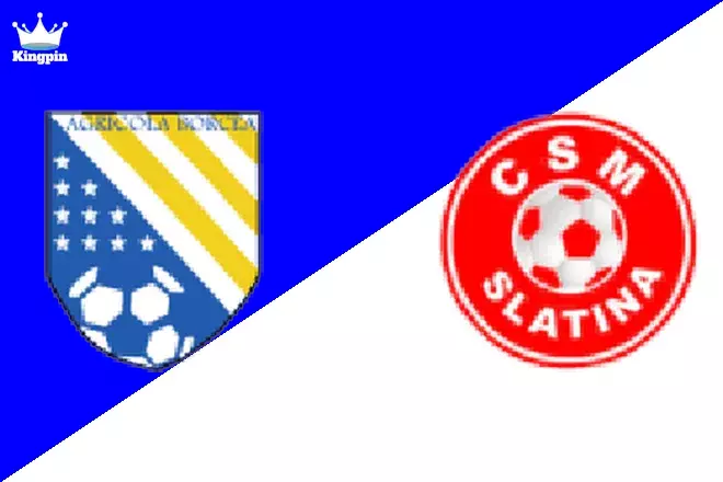 Agricola Borcea vs Slatina: Cupa României Totals Prediction 8/28