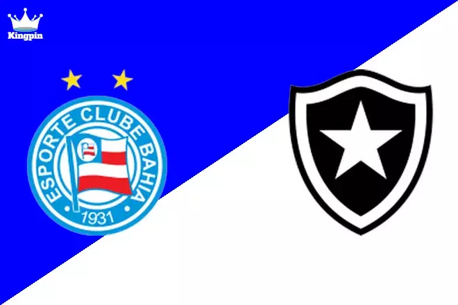Bahia vs Botafogo: Serie A Spread Prediction 8/25