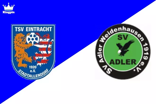Eintracht Stadtallendorf vs Weidenhausen: Oberliga - Hessen Total Goals Prediction 8/31