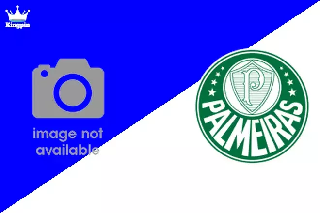 Ferroviária U20 vs Palmeiras U20: Paulista U20 Spread Picks August 4, 2024