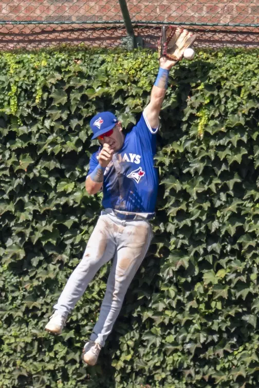 Chicago Cubs vs Toronto Blue Jays Spread Prediction 8/18