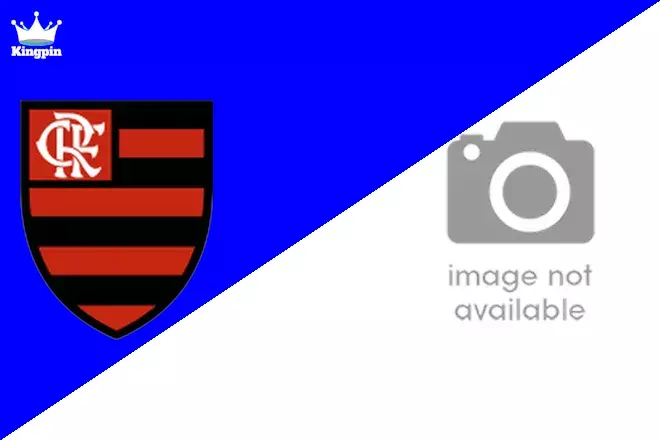 Flamengo RJ U17 vs Athletico PR U17: Brasileiro U17 Moneyline Picks August 7, 2024
