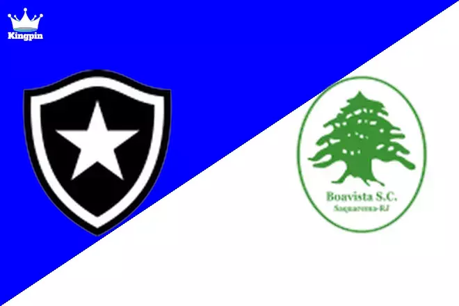 Botafogo U20 vs Boavista U20: Carioca U20 Spread Prediction 9/14