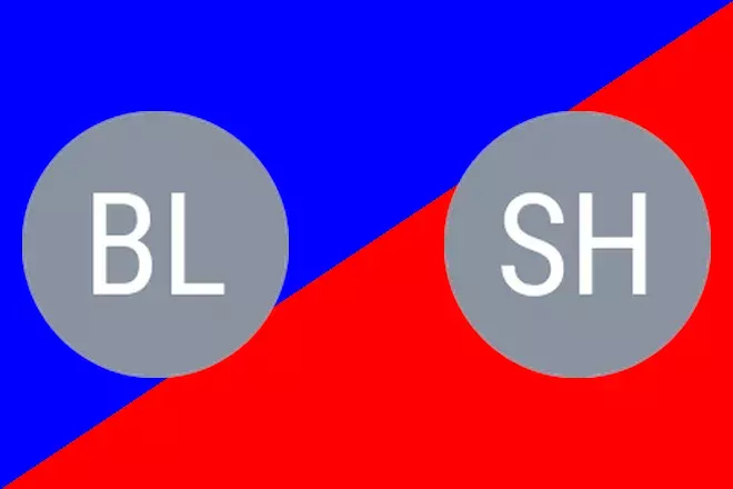 Blomqvist C. vs Shah I.: Monastir Prediction 8/11