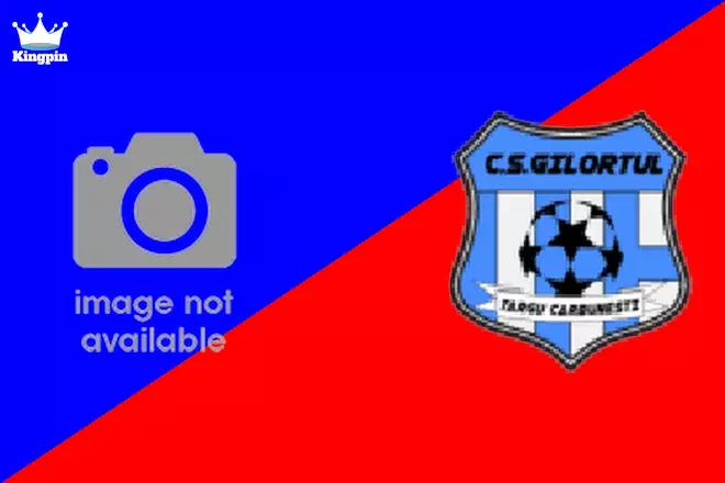 Turceni vs Gilortul: Romanian Cup Spread Picks July 31, 2024