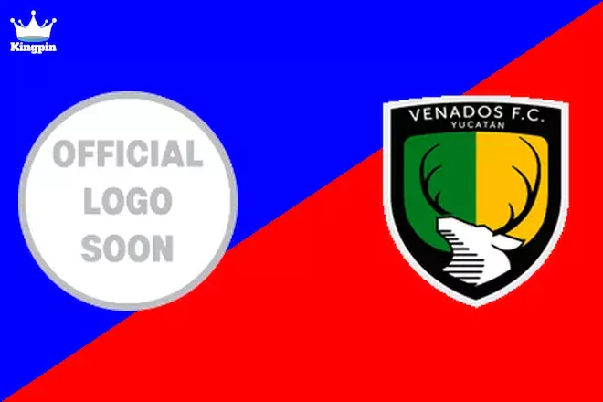 CDS Tampico Madero vs Venados FC: Liga de Expansión MX Moneyline Picks August 3, 2024