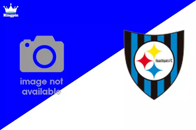 Presidente Ibáñez vs Huachipato: Copa Chile Goals Over/Under Prediction 9/1