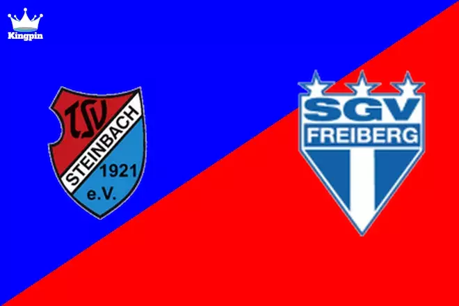 TSV Steinbach vs SGV Freiberg: Regionalliga - SudWest Totals Picks August 3, 2024